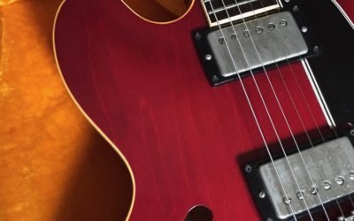 Guitars: Do’s and Don’ts for Proper Care